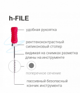 h-FILE.   